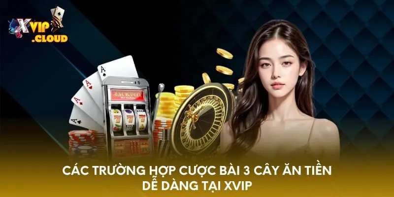 cac-truong-hop-cuoc-bai-3-cay-an-tien-de-dang-tai-xvip